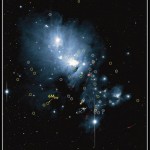 Коричневые карлики в молодом кластере NGC 1333. Новые карлики, открытые в рамках проекта SONYC, обведены желтыми кругами. Ранее известные карлики обведены белыми кругами